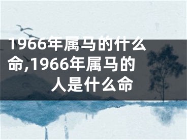1966年属马的什么命,1966年属马的人是什么命