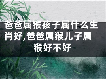 爸爸属猴孩子属什么生肖好,爸爸属猴儿子属猴好不好