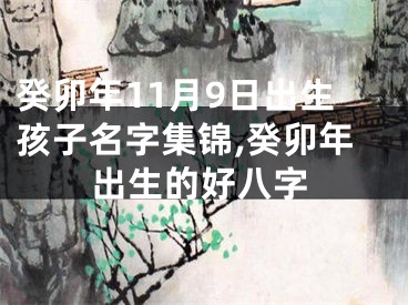 癸卯年11月9日出生孩子名字集锦,癸卯年出生的好八字