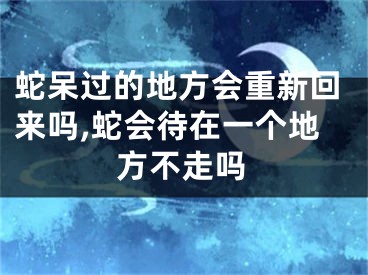 蛇呆过的地方会重新回来吗,蛇会待在一个地方不走吗