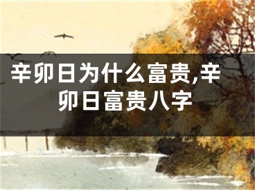 辛卯日为什么富贵,辛卯日富贵八字
