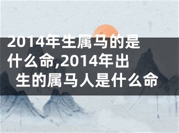 2014年生属马的是什么命,2014年出生的属马人是什么命