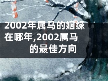 2002年属马的姻缘在哪年,2002属马的最佳方向