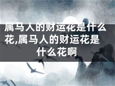 属马人的财运花是什么花,属马人的财运花是什么花啊