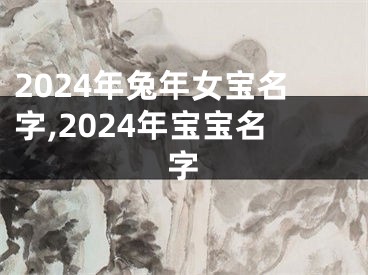 2024年兔年女宝名字,2024年宝宝名字