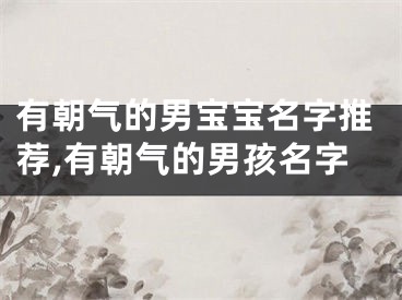 有朝气的男宝宝名字推荐,有朝气的男孩名字