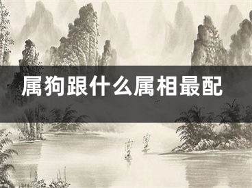 属狗跟什么属相最配