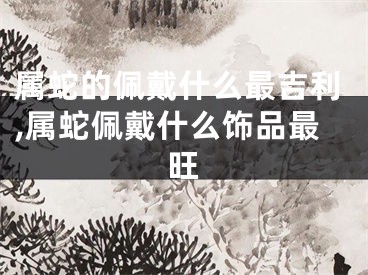 属蛇的佩戴什么最吉利,属蛇佩戴什么饰品最旺