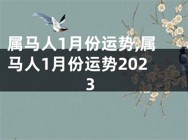 属马人1月份运势,属马人1月份运势2023