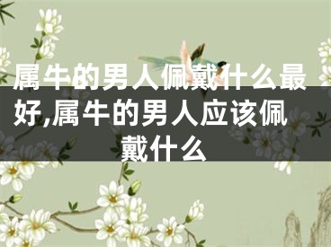 属牛的男人佩戴什么最好,属牛的男人应该佩戴什么