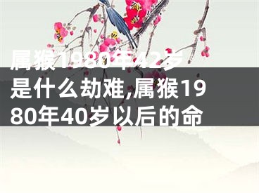 属猴1980年42岁是什么劫难,属猴1980年40岁以后的命