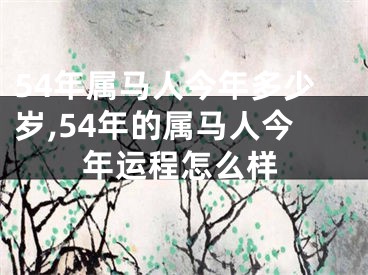 54年属马人今年多少岁,54年的属马人今年运程怎么样
