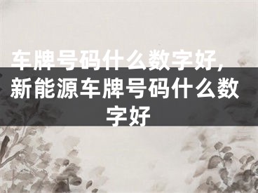 车牌号码什么数字好,新能源车牌号码什么数字好