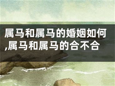属马和属马的婚姻如何,属马和属马的合不合