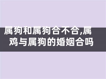 属狗和属狗合不合,属鸡与属狗的婚姻合吗