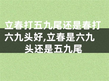 立春打五九尾还是春打六九头好,立春是六九头还是五九尾