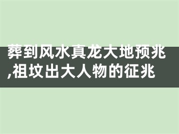 葬到风水真龙大地预兆,祖坟出大人物的征兆