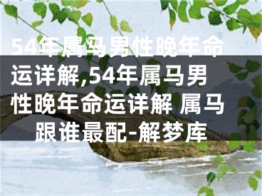 54年属马男性晚年命运详解,54年属马男性晚年命运详解 属马跟谁最配-解梦库