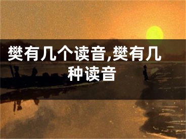 樊有几个读音,樊有几种读音