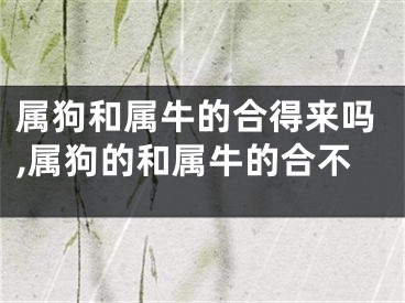 属狗和属牛的合得来吗,属狗的和属牛的合不