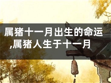 属猪十一月出生的命运,属猪人生于十一月