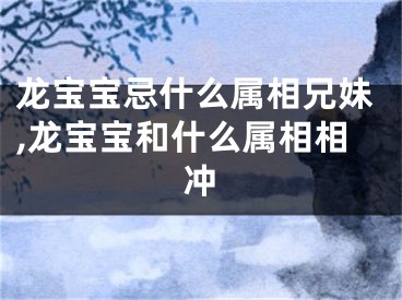 龙宝宝忌什么属相兄妹,龙宝宝和什么属相相冲