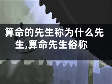 算命的先生称为什么先生,算命先生俗称