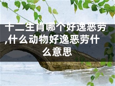 十二生肖哪个好逸恶劳,什么动物好逸恶劳什么意思