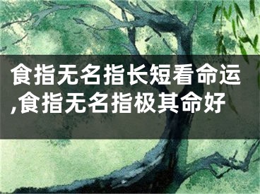 食指无名指长短看命运,食指无名指极其命好