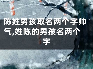 陈姓男孩取名两个字帅气,姓陈的男孩名两个字