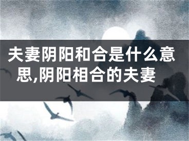 夫妻阴阳和合是什么意思,阴阳相合的夫妻