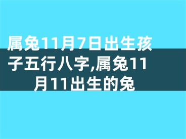属兔11月7日出生孩子五行八字,属兔11月11出生的兔
