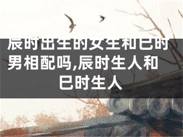 辰时出生的女生和巳时男相配吗,辰时生人和巳时生人