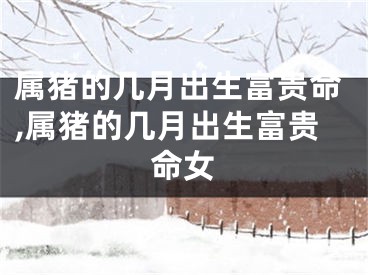 属猪的几月出生富贵命,属猪的几月出生富贵命女