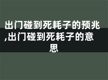 出门碰到死耗子的预兆,出门碰到死耗子的意思