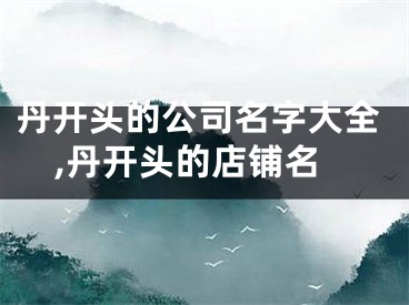 丹开头的公司名字大全,丹开头的店铺名