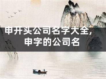 申开头公司名字大全,申字的公司名