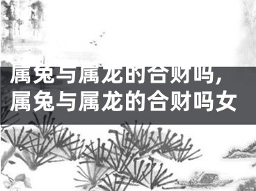 属兔与属龙的合财吗,属兔与属龙的合财吗女