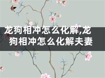 龙狗相冲怎么化解,龙狗相冲怎么化解夫妻