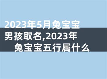 2023年5月兔宝宝男孩取名,2023年兔宝宝五行属什么
