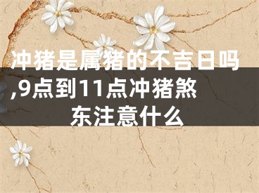 冲猪是属猪的不吉日吗,9点到11点冲猪煞东注意什么