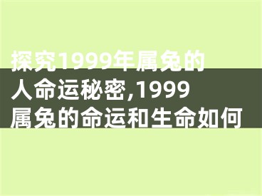 探究1999年属兔的人命运秘密,1999属兔的命运和生命如何