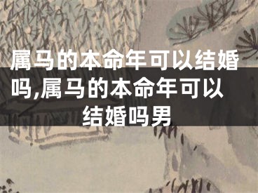 属马的本命年可以结婚吗,属马的本命年可以结婚吗男