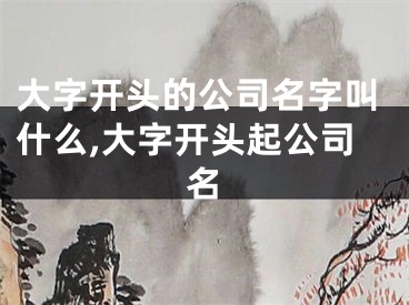 大字开头的公司名字叫什么,大字开头起公司名