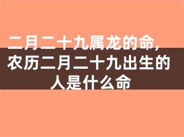 二月二十九属龙的命,农历二月二十九出生的人是什么命