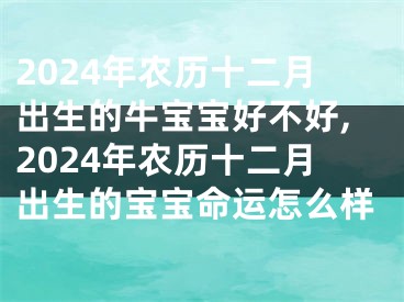 2024年农历十二月出生的牛宝宝好不好,2024年农历十二月出生的宝宝命运怎么样