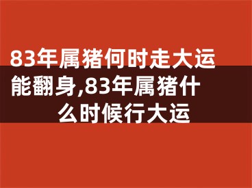 83年属猪何时走大运能翻身,83年属猪什么时候行大运
