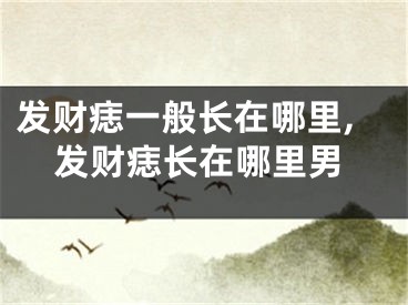 发财痣一般长在哪里,发财痣长在哪里男