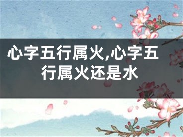 心字五行属火,心字五行属火还是水