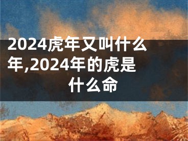 2024虎年又叫什么年,2024年的虎是什么命